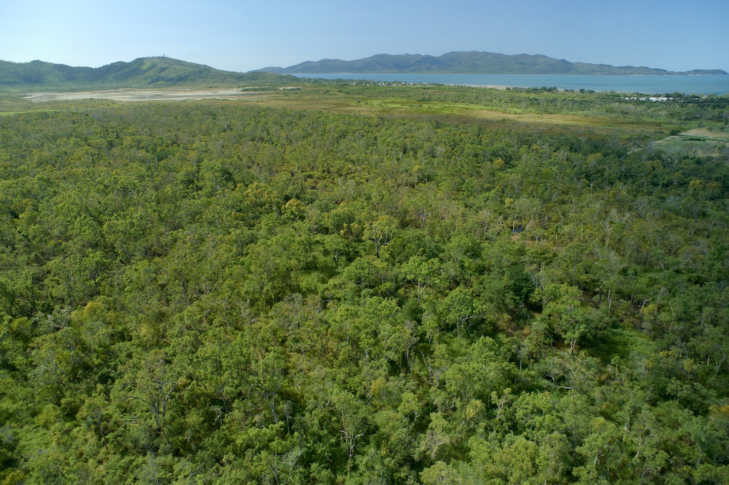 Rowes Bay Wetlands