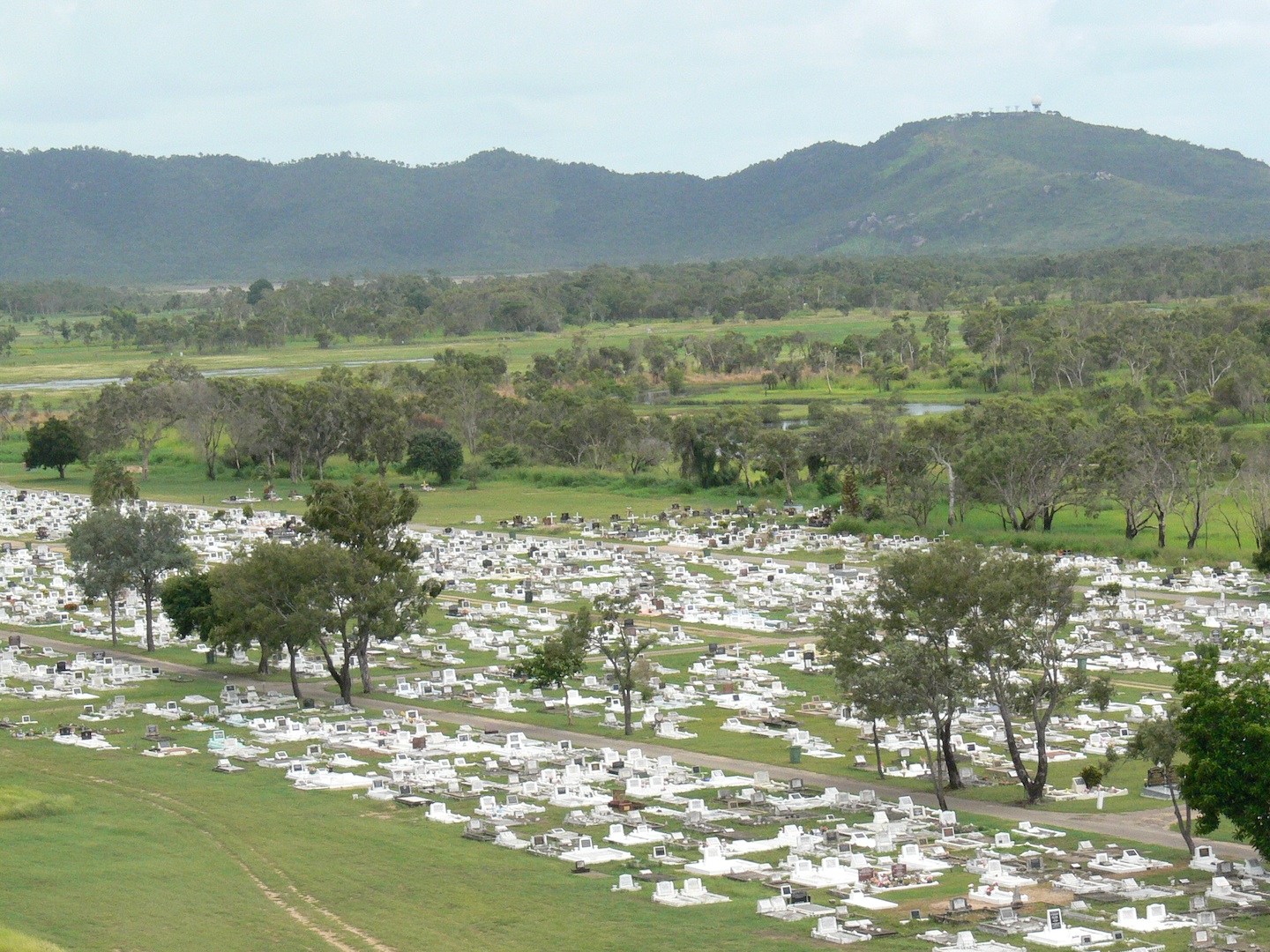 Rowes Bay Wetlands