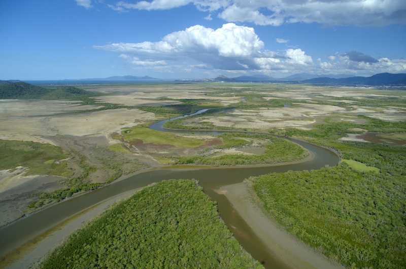 Rowes Bay Wetlands